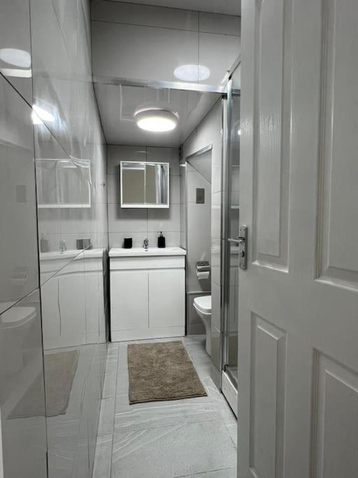 Stylish Flat In Camden/Kingscross Appartement Londen Buitenkant foto