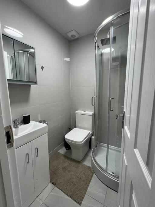Stylish Flat In Camden/Kingscross Appartement Londen Buitenkant foto